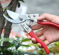 Amazon.com : Branch Trimmer Hedge Shears,Cutter,Pruning,Hand ...