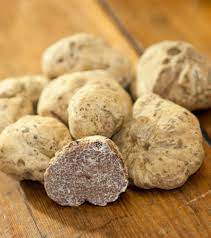 Nous fournissons un choix tous nos clients choisissent des truffes fraîches et surgelées. A Vendre Frais Truffe Blanche Tunisie France 1000 Le Kilo 10 Kilos Tunisie Detaillant Recherche De Client Espaceagro