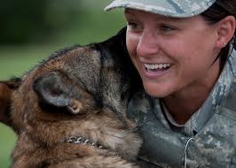 What do you think this military working dog is telling its wingman?  http://bit.ly/QyMRFV (KT)