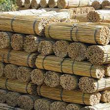 Ocoee bamboo farm , central florida bamboo plants, bamboo fence,shrubs, privacy plants,orlando,groveland,maitland, beautiful bamboo welcome to the ocoee bamboo farm, we specialize in the propagation and sales of clumping bamboo plants wholesale to landscapers and for. Bamboo Canes Poles Spd Fife