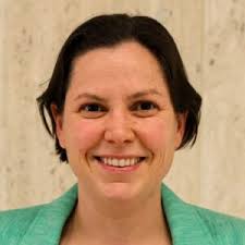 Analysis of market and export opportunities for green iron and steel