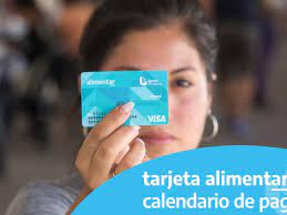 Tarjeta alimentar padron mayo 2021. Anses Confirmo El Cronograma De Pagos De La Tarjeta Alimentar Para Auh Mayo 2021 Bae Negocios