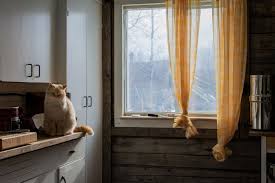 choose kitchen curtains
