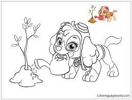 If you are looking for a great set of coloring pages for intermediates, the the following pages could be your answer.and, there is no way your kid would say no to it. Skye From Paw Patrol Coloring Pages Cartoons Coloring Pages Coloring Pages For Kids And Adults