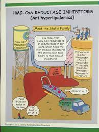 Pin By Nelinda On Meds Atorvastatin Lipitor Statin
