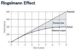 whats the ideal team size to maximize productivity teamgantt