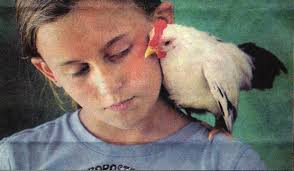 UPC Spring 2008 Poultry Press