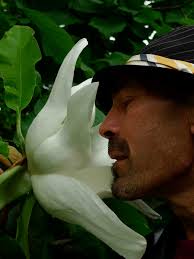 Jeffrey Bale's World of Gardens: April 2012