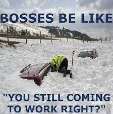 Funniest Snow Memes Ever Work Humor Humor Funny Pictures
