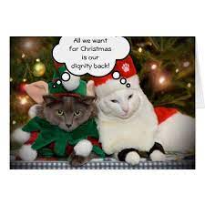 Funny Cats Christmas Wish Christmas Card Tap Personalize Buy Right Now Funny Cat Christmas Cards Christmas Cats Cat Christmas Cards