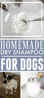 Homemade Dry Shampoo For Dogs The Creek Line House Homemade Dry Shampoo Dog Dry Skin Dry Dog Shampoo