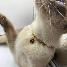 At petsmart, we make it easy to shop for cat collars. Charm Necklace 6mm Gold Color Heart Collar Chain For Pet Dog Cat Jewelry Stainless Steel Necklace Holiday Decoration Chain Necklaces Aliexpress
