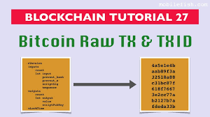 Bitcoin in 6 easy steps. Blockchain Tutorial 27 Bitcoin Raw Transaction And Transaction Id Https Www Youtube Com Watch V 26ndcvcexw0 Blockchain Tutorial Bitcoin