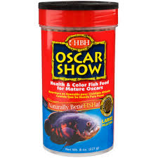 Jenis pemangsa juga tidak kalah bagus, di sana ada arwana, louhan, aligator, datz atau oscar. Aku Duwe Info Cara Merawat Ikan Oscar