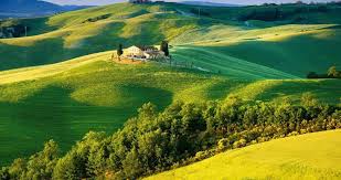 Top Olive Oil Tasting Experiences Italy Italy Landscape Tuscany Landscape Beautiful Landscapes