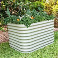 Pin On All Gardens Plants Edibles