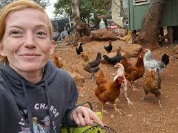 Everything Backyard Chicken!