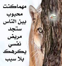 pin by azhar alkenany on صور animals panther