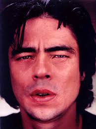 Benicio del Toro