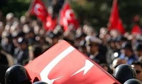 Sivrisinekler tarafından yayılır ve beyinde potansiyel olarak ölümcül bir iltihaplanma olan menenjite yol açabilme ihtimali yüksektir. Nobette Sivrisinek Isirigi Sonucu Bati Nil Virusu Enfeksiyonu Ile Rahatsizlanan Asker Sehit Oldu