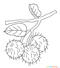 Apple coloring pages tree coloring page coloring pages to print free coloring coloring books ladybug cupcakes snowman cupcakes giant cupcakes disney princess cupcakes. A Bunch Of Rambutan Coloring Page Free Printable For Kids