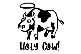 Christmas cow svg cute cow svg cow face svg heifer please svg christmas heifer svg santa cow cut file heifer christmas svg holiday cow svg this listing is for an instant download. Holy Cow Svg Cut File By Creative Fabrica Crafts Creative Fabrica