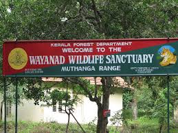 A Guide To Wayanad Wildlife Sanctuary Nativeplanet Get the list and detail information. a guide to wayanad wildlife sanctuary
