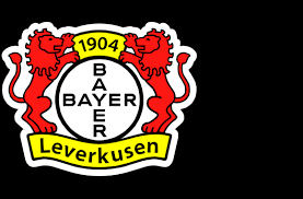 Can't find what you are looking for? Leverkusen