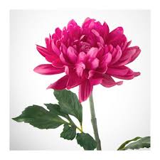 Mobel Einrichtungsideen Fur Jedes Zuhause Artificial Flowers Planting Flowers Flowers