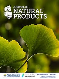 Image result for Turraea robusta