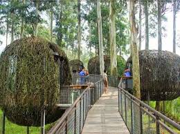 Kamu beneran akan serasa di volendam, di mana kamu bisa berfoto dengan menggunakan pakaian tradisional belanda dengan latar belakang. Tempat Wisata Alam Di Bandung Terbaru 2021 Paling Ngehits Murah