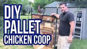 Simple chicken coop from pallets. 20 Pallet Chicken Coop Plans You Can Build On Low Budget Diy Crafts