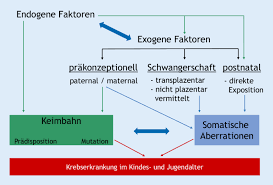Risikofaktoren Fur Krebserkrankungen Im Kindes Und Jugendalter Springerlink