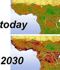 We did not find results for: Habitat Fragmentation Wikipedia
