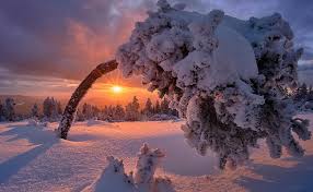 Зимнее солнцестояние (солнцеворот) 21 декабря 2020 года. Den Zimnego Solncestoyaniya 2020 Kogda Samyj Korotkij Den I Samaya Dlinnaya Noch