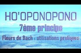 Ho Oponopono 7 8 Fleurs De Bach Utilisations Pratiques Youtube Formation Hypnose Hypnose Ericksonienne Fleurs De Bach
