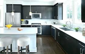 simple kitchens small contemporary