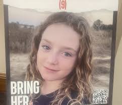 Emily Hand: Taoiseach says Government will do all in its power to secure  child's release