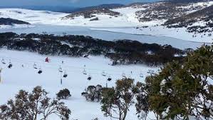 Two teenagers — including a rebels bikie nominee — dug up $500,000 buried in a. Gxfccfzarzazfm