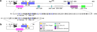 Limited and unlimited liability company section 10(1) ca 2016 states that a company may be incorporated as '(a) a company limited by shares; Truncation Of The Transcriptional Repressor Protein Cre1 In Trichoderma Reesei Rut C30 Turns It Into An Activator Fungal Biology And Biotechnology Full Text