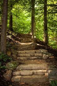 Pin By Trish Rydl On Arkansas Arkansas Waterfalls Path To Heaven Landscaping A Slope