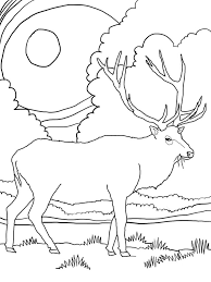 Printable bull elk coloring pages for preschoolers skip to main content. Coloring Pages Coloring Pages Elk Printable For Kids Adults Free