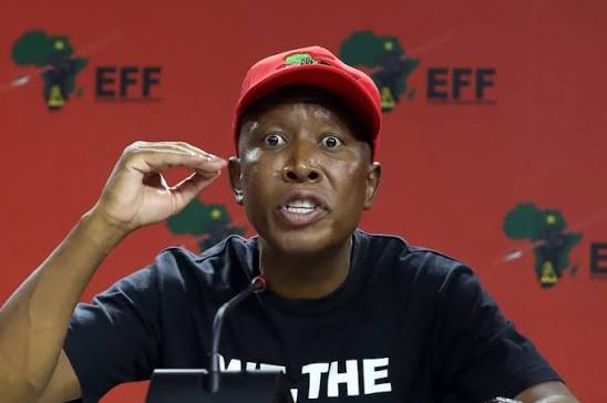 Malema in high court bid for apology over Kunene's cartel allegations