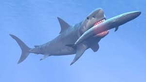 Who will win in a fight : Megalodon Vs Leviathan Who Wins