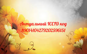 играть в симс 4 без регистрации бесплатно без смс Aktualnyj Iccid Kod Dlya Nastrojki Chipov R Sim I Gevey Aio Movie Posters Movies Poster