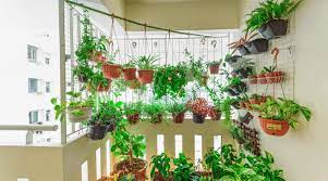 We did not find results for: Balcony Garden Ideas For Your Home Different Plants For Balcony