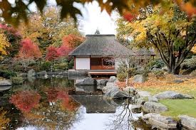 Japanische mönche, die diese länder bereisten, brachten die gartenkunst nach japan. Bildarchiv Hamburg Com Foto Teehaus Im Japanischen Garten In Hamburg Planten Un Blomen Japanischer Ahorn Mit Herbstblattern Spiegeln Sich Im Wasser