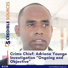 The investigation into the death of 11-year-old Adriana Younge is  progressing, with detectives now exploring several theories while remaining  in the evidence-gathering phase, according to Crime Chief Wendell Blanhum.  Despite objections from