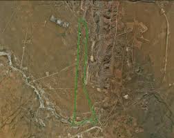 Image result for Chascanum adenostachyum