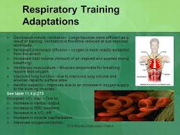 Vce major project training program. Respiratory Muscle Training Vce Physical Education Unit 4 Ppt Video Online Download Physical Education Muscle Training Gcse Pe